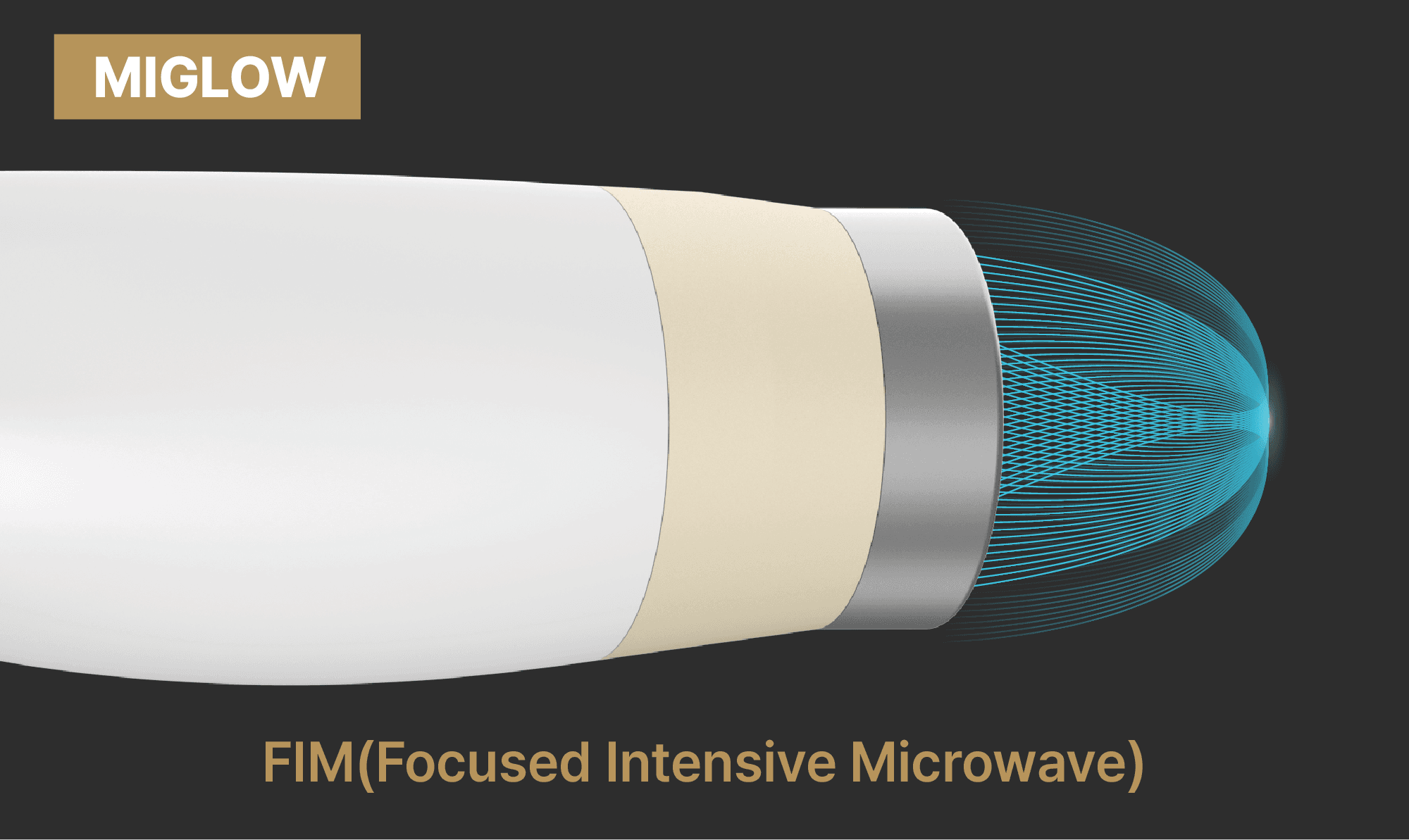 MIGLOW FIM focused near-field wave